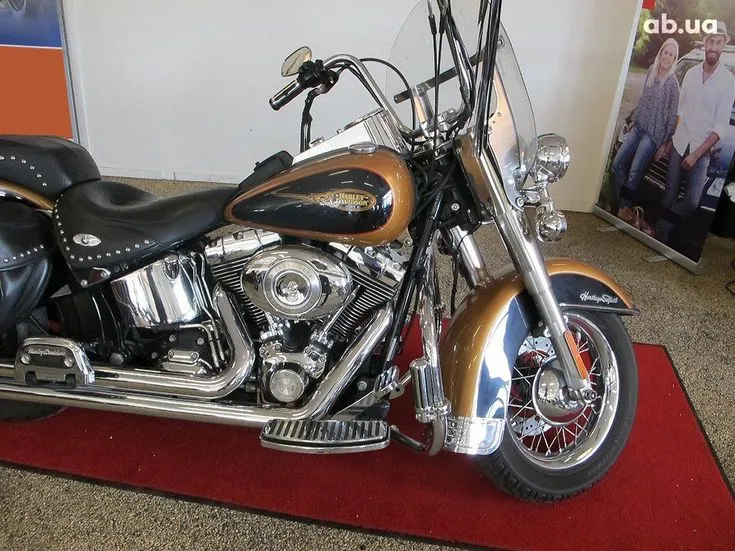 Harley-Davidson FLSTC  Image 1